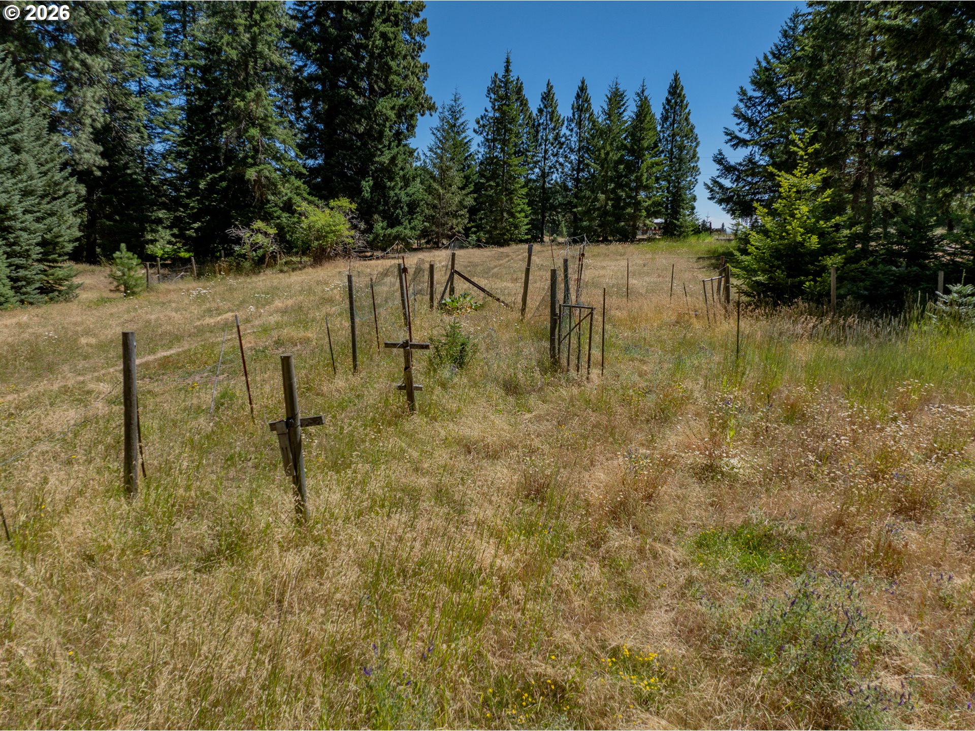 1251 Canyon Rd Property Photo 18