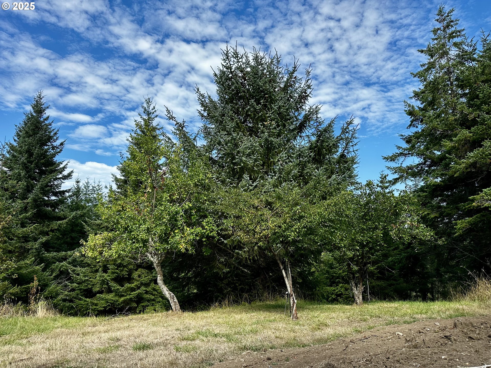 94515 Langlois Mountain Rd Property Photo 6