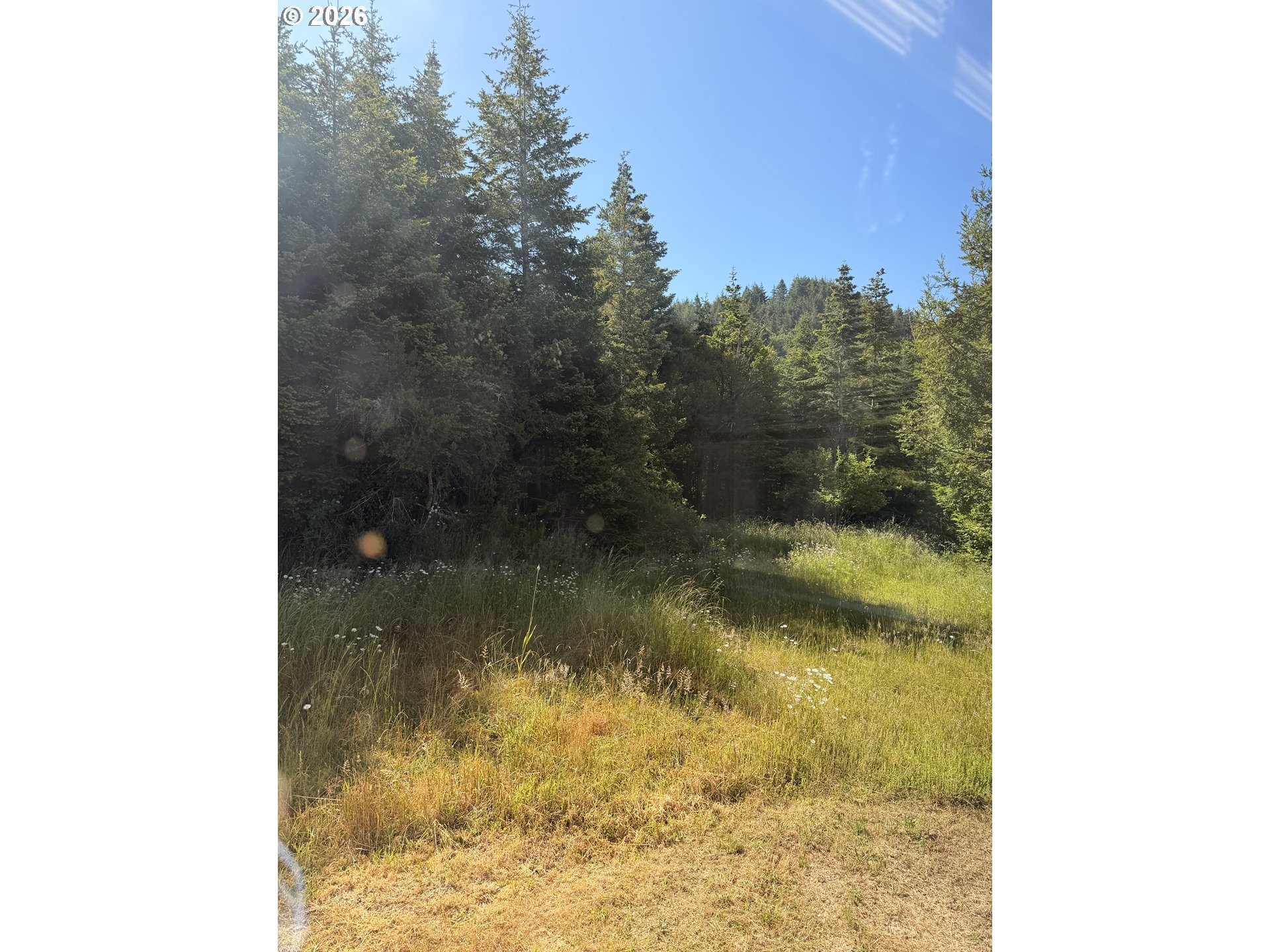 94515 Langlois Mountain Rd Property Photo 39