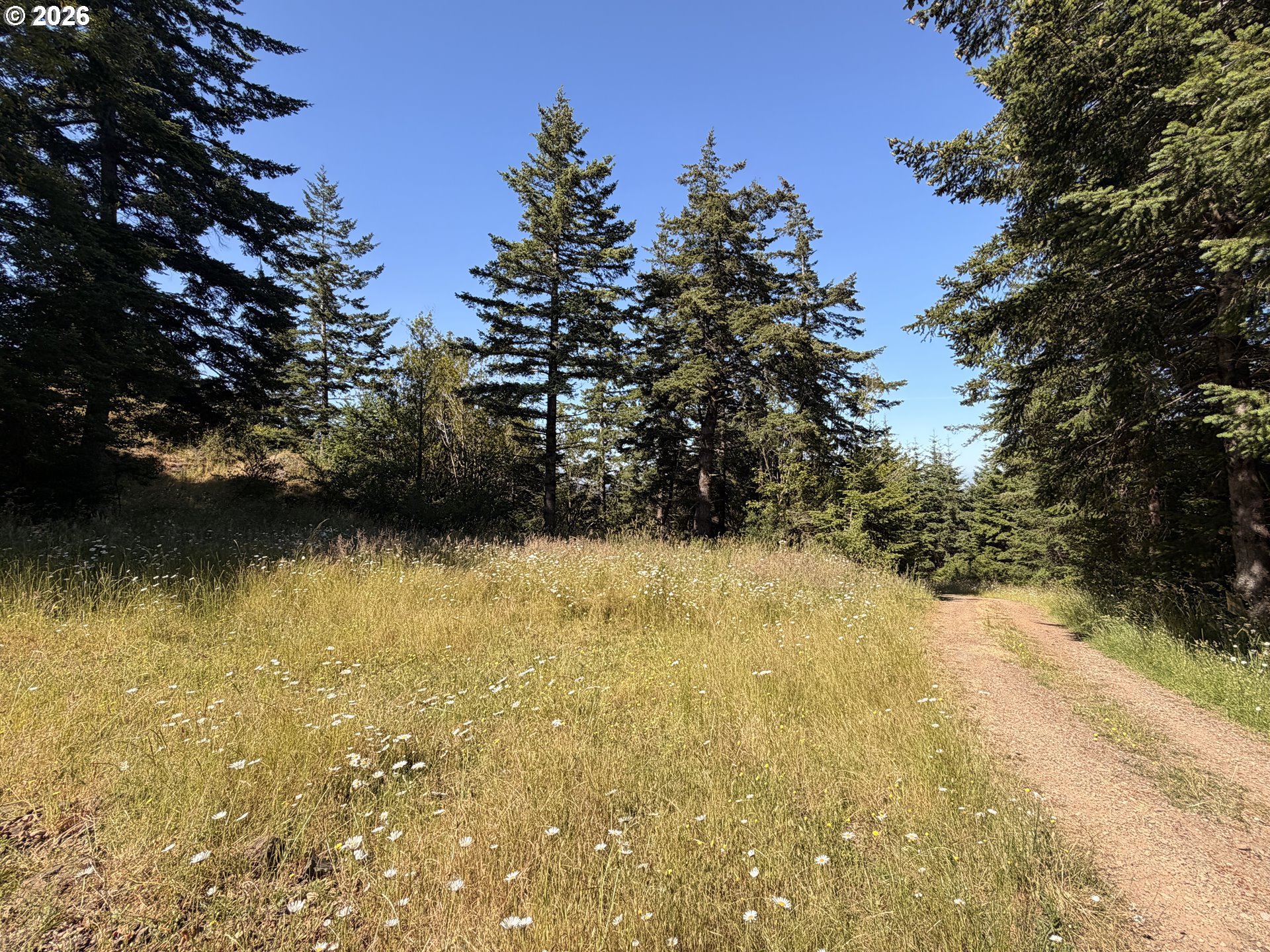 94515 Langlois Mountain Rd Property Photo 46