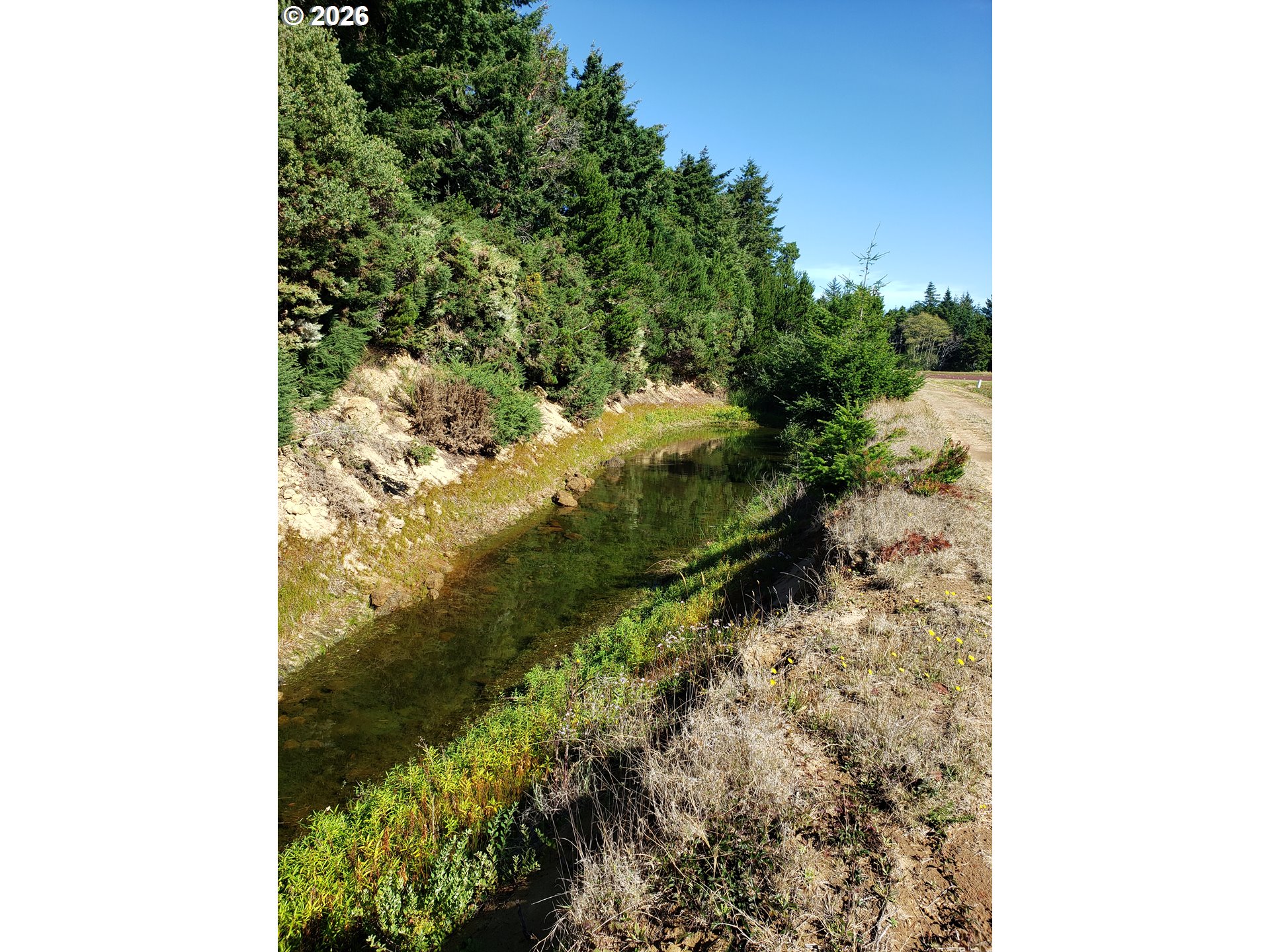 86449 Croft Lake Ln Property Photo 24