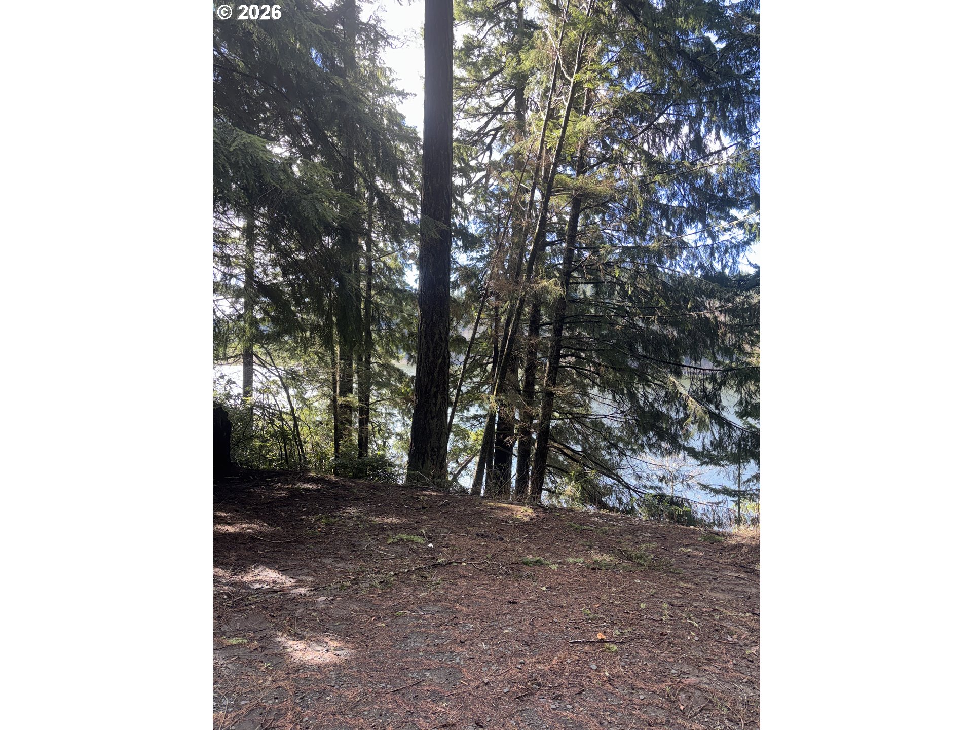 72294 Potlatch Rd Property Photo 5
