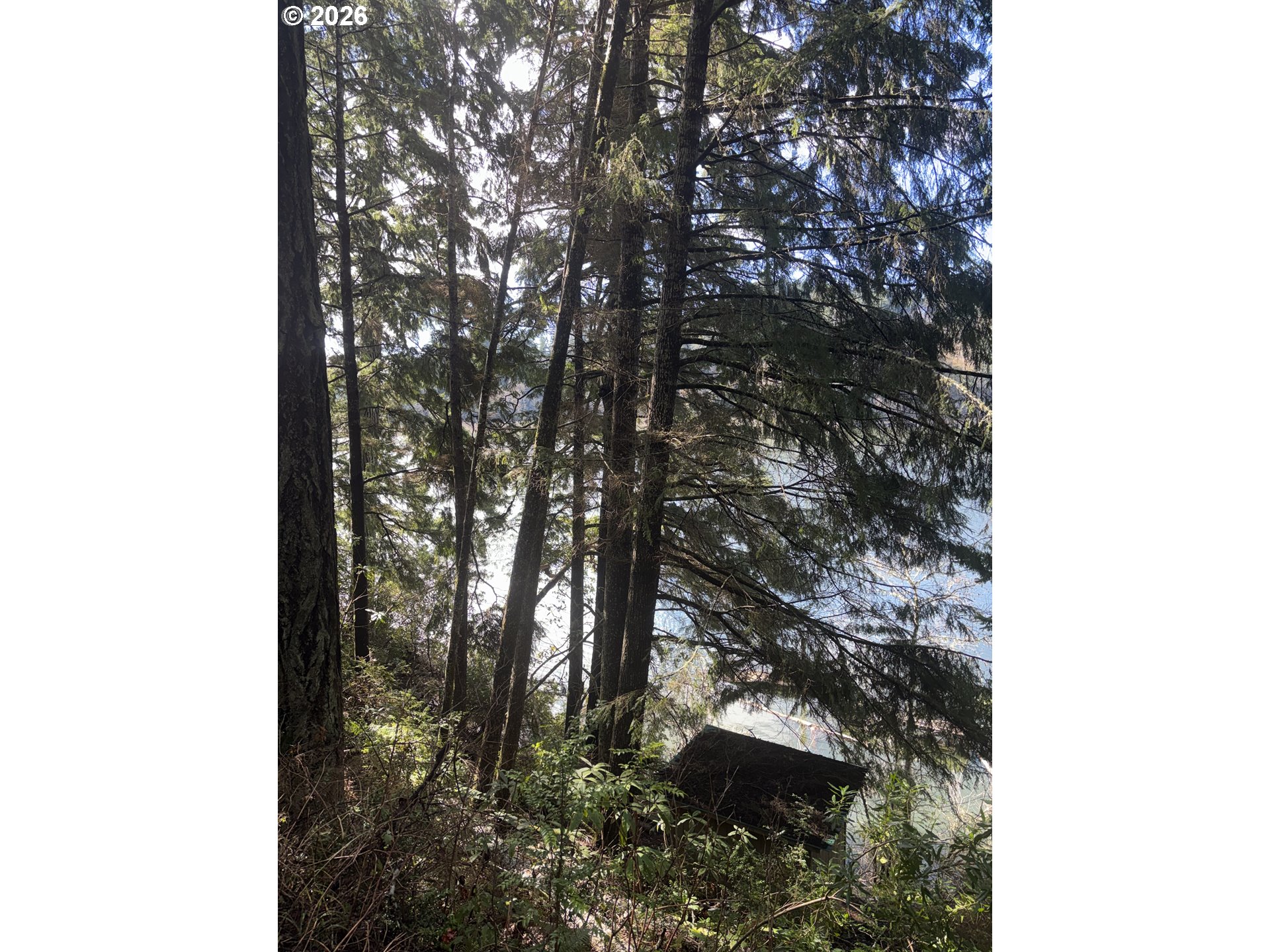 72294 Potlatch Rd Property Photo 13