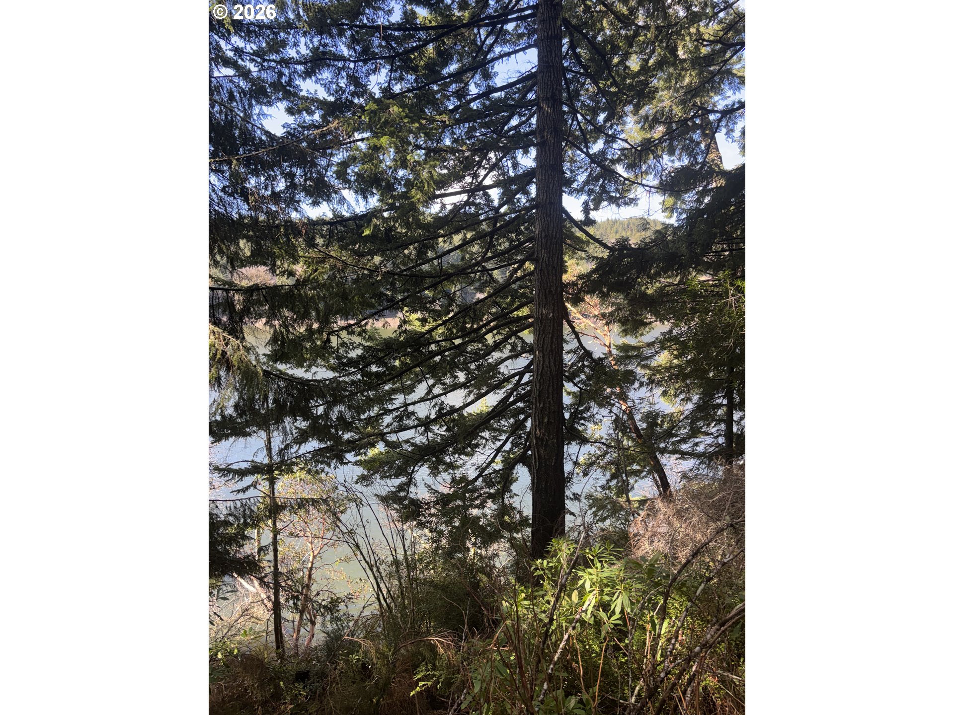 72294 Potlatch Rd Property Photo 14