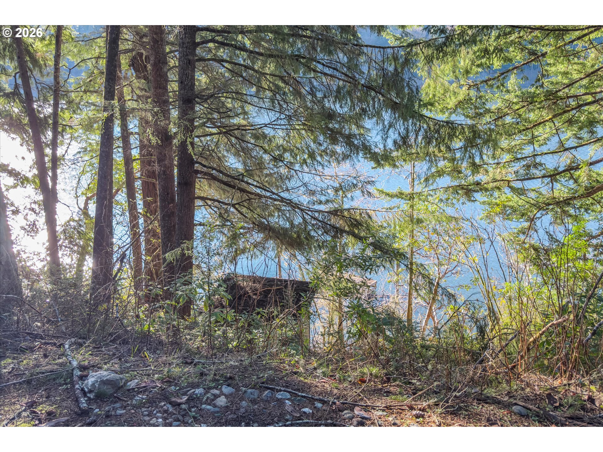 72294 Potlatch Rd Property Photo 18