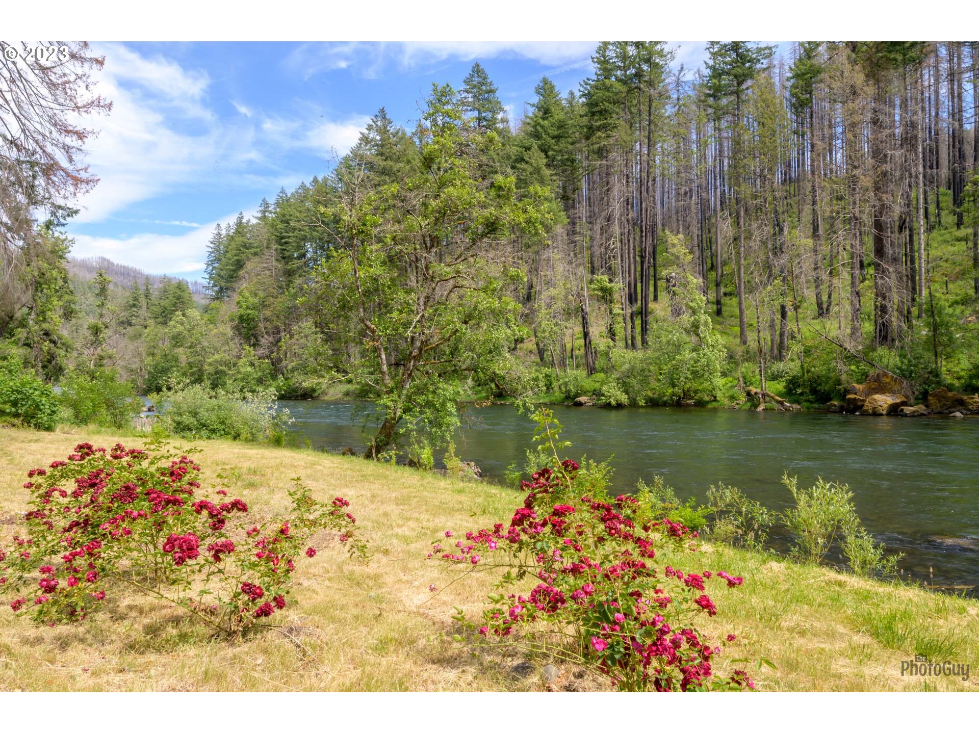 47664 MCKENZIE HWY Property Photo 1