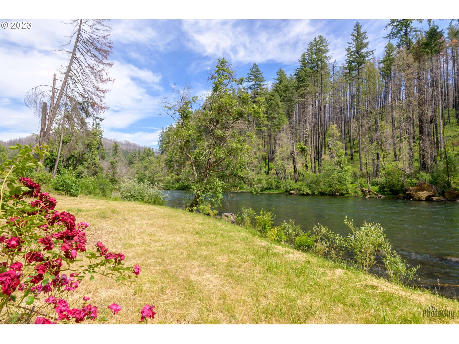 47664 Mckenzie Hwy Property Photo 16
