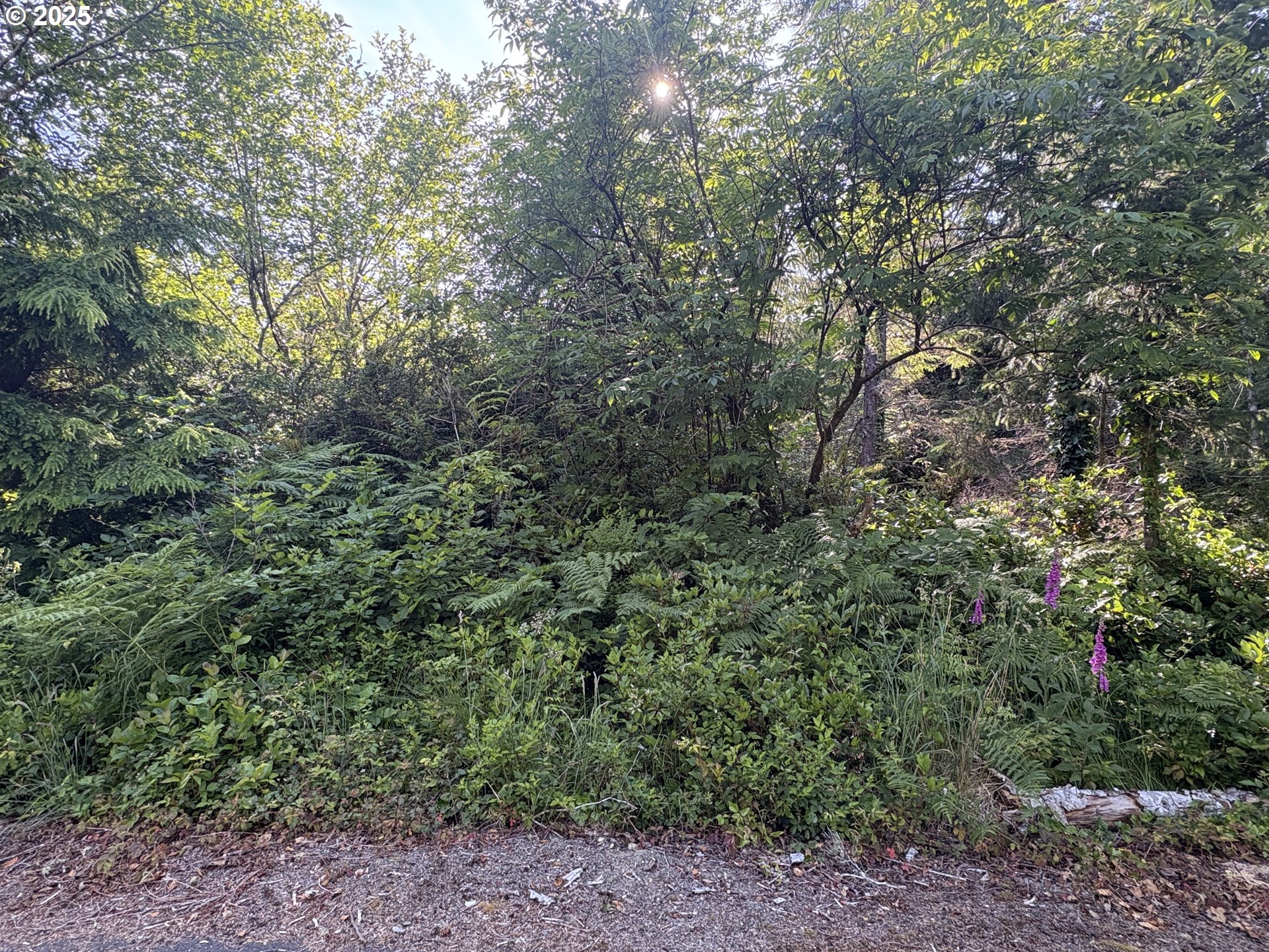 285 Xx Z St Property Photo 1