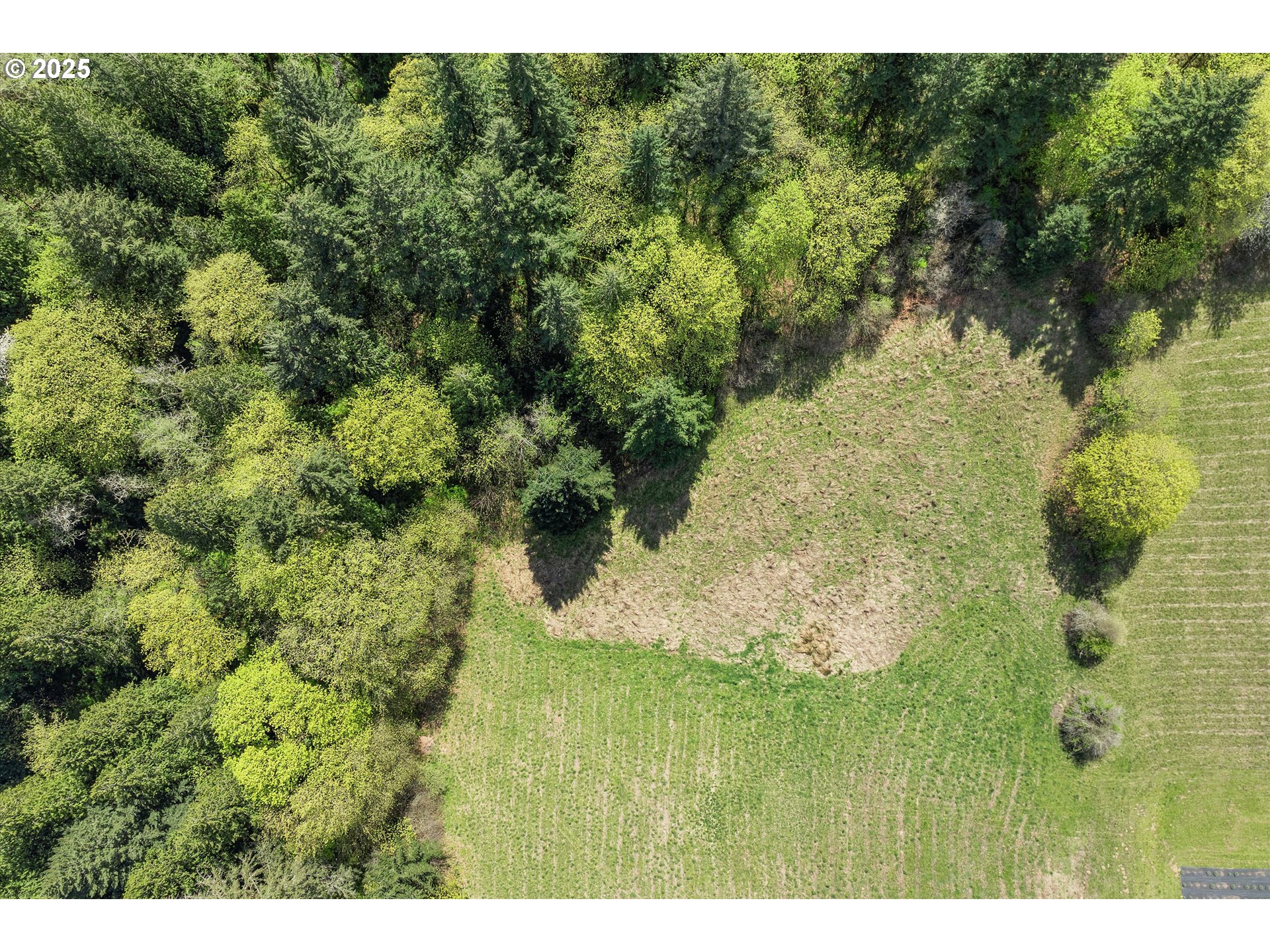 Sw Schmeltzer Rd Property Photo 11