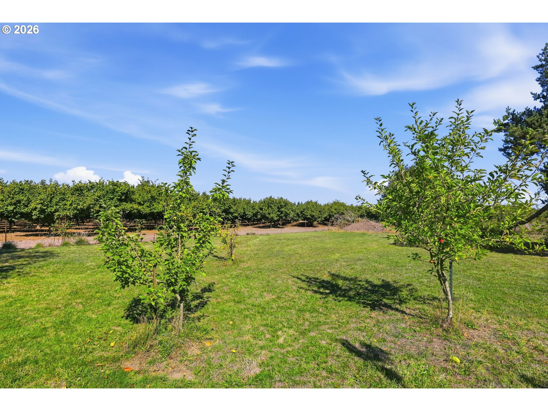 32565 Boston Mill Dr Property Photo 36
