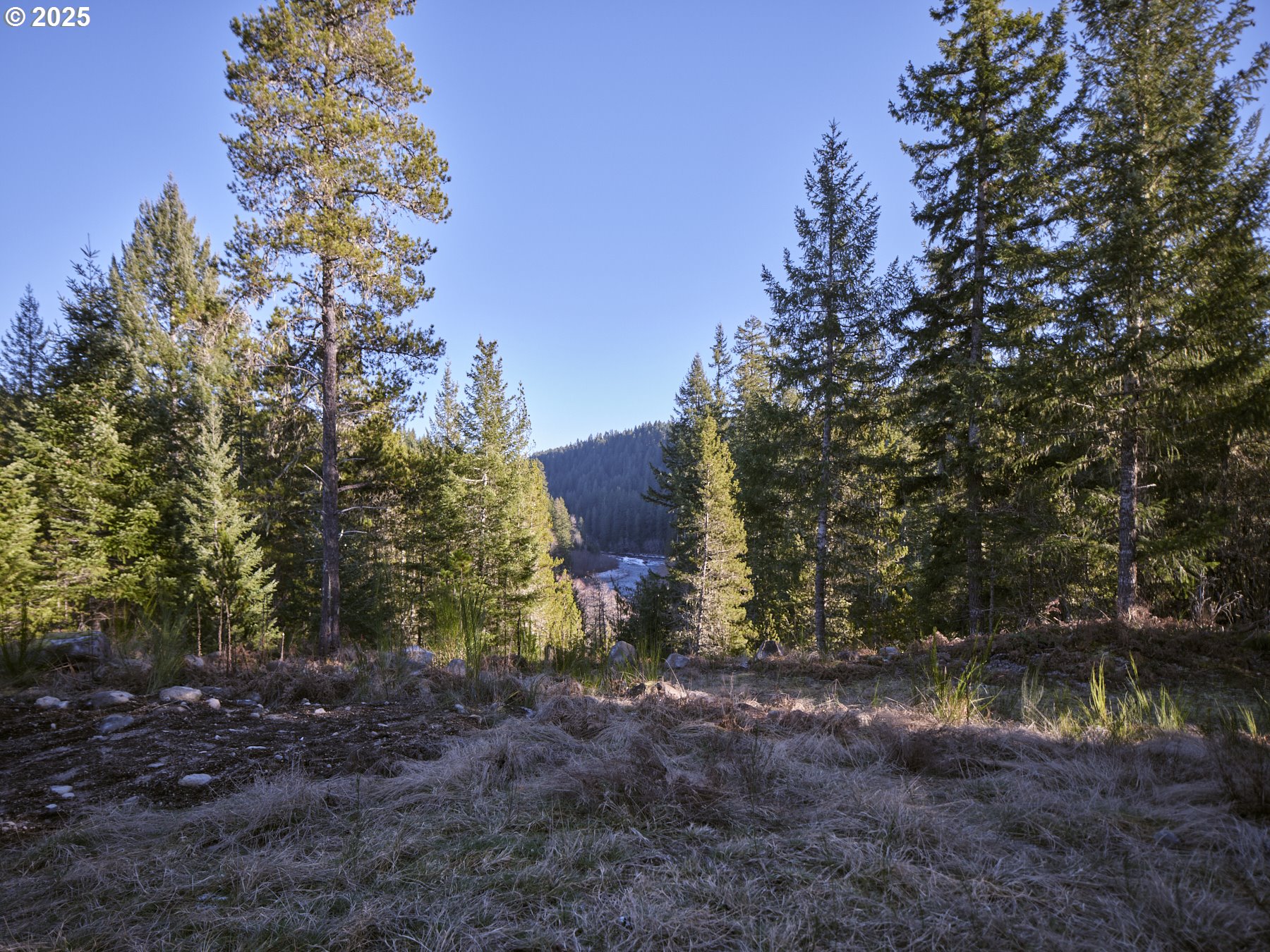 192 Sasquatch Way Property Photo 41