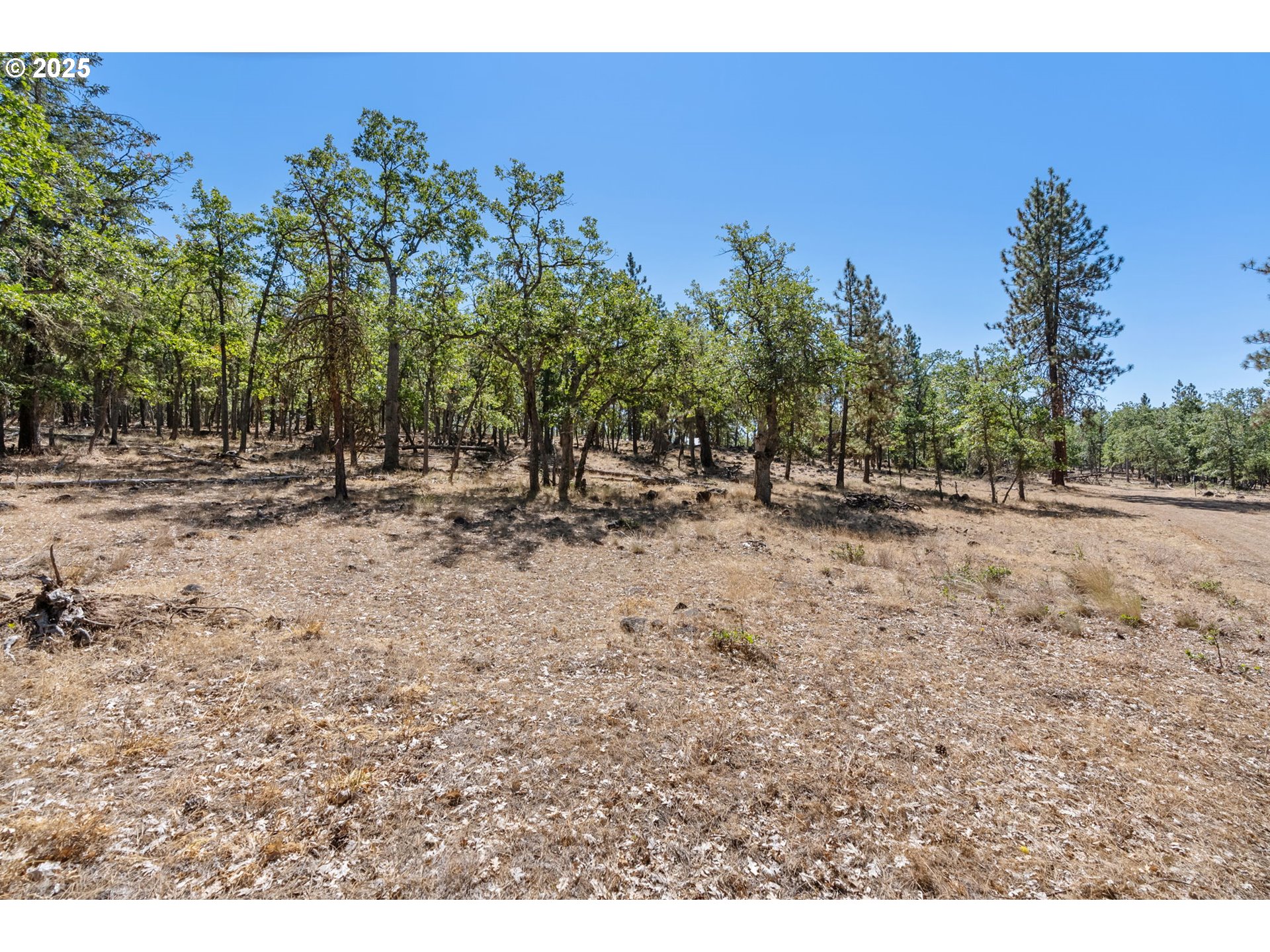 Nka Wilderness Loop Rd Property Photo 1