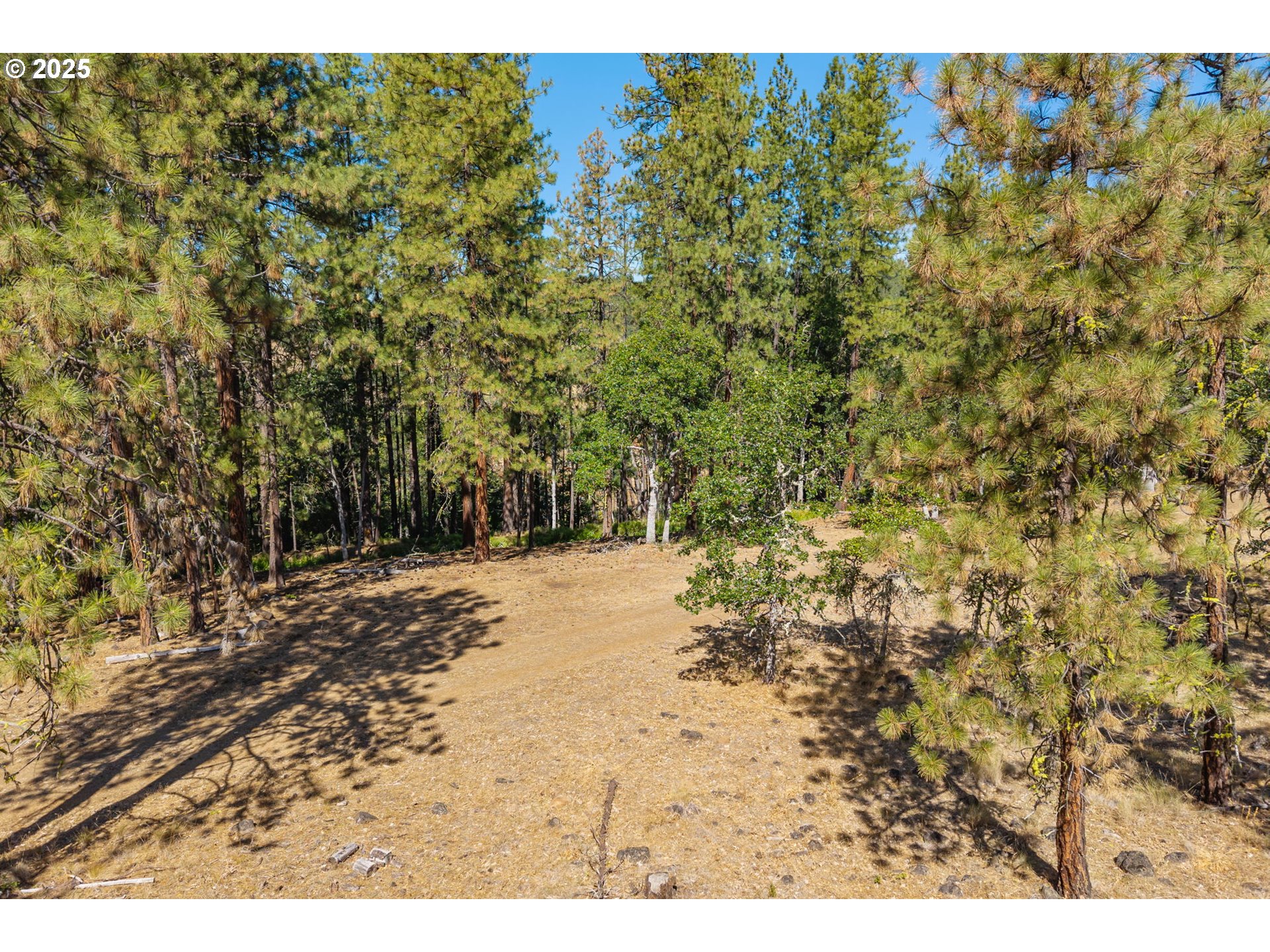 Nka Wilderness Loop Rd Property Photo 8