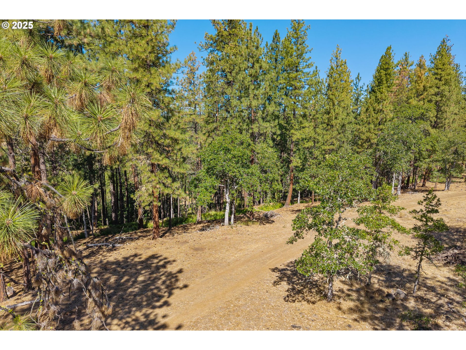 Nka Wilderness Loop Rd Property Photo 9