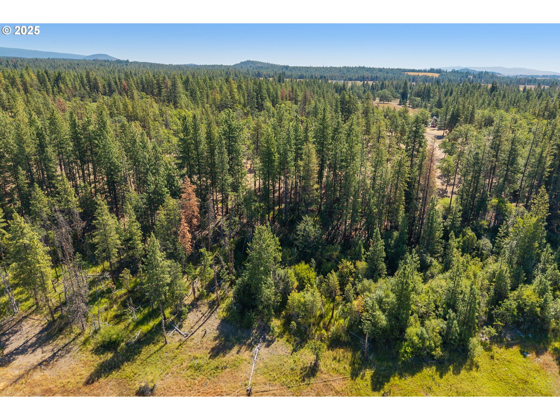 Nka Wilderness Loop Rd Property Photo 13