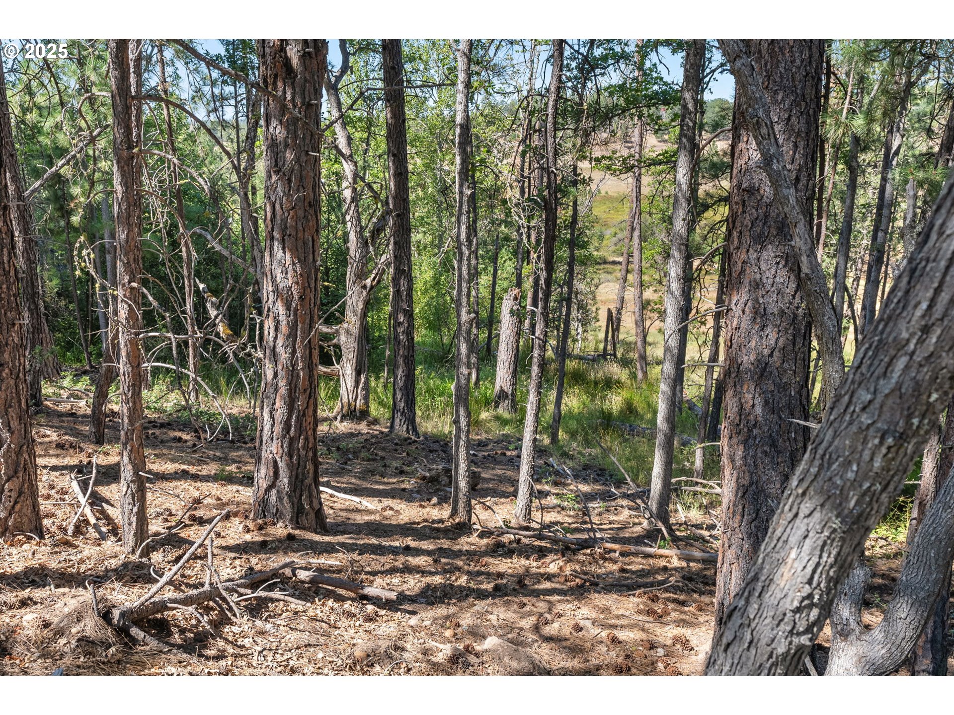 Nka Wilderness Loop Rd Property Photo 14