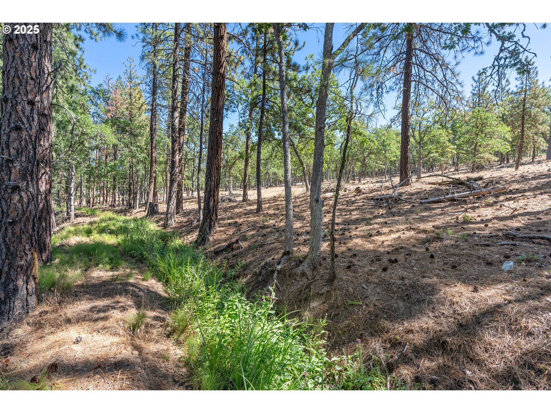 Nka Wilderness Loop Rd Property Photo 15