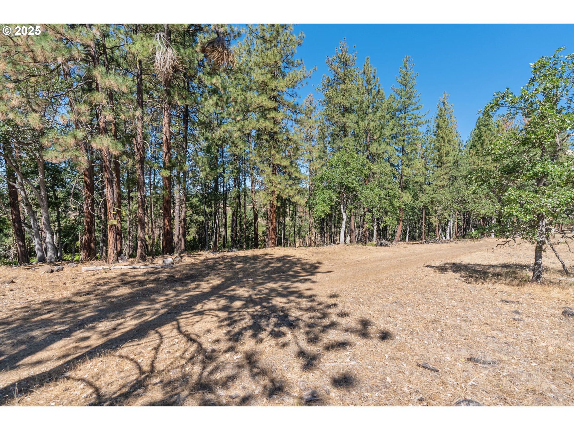 Nka Wilderness Loop Rd Property Photo 16