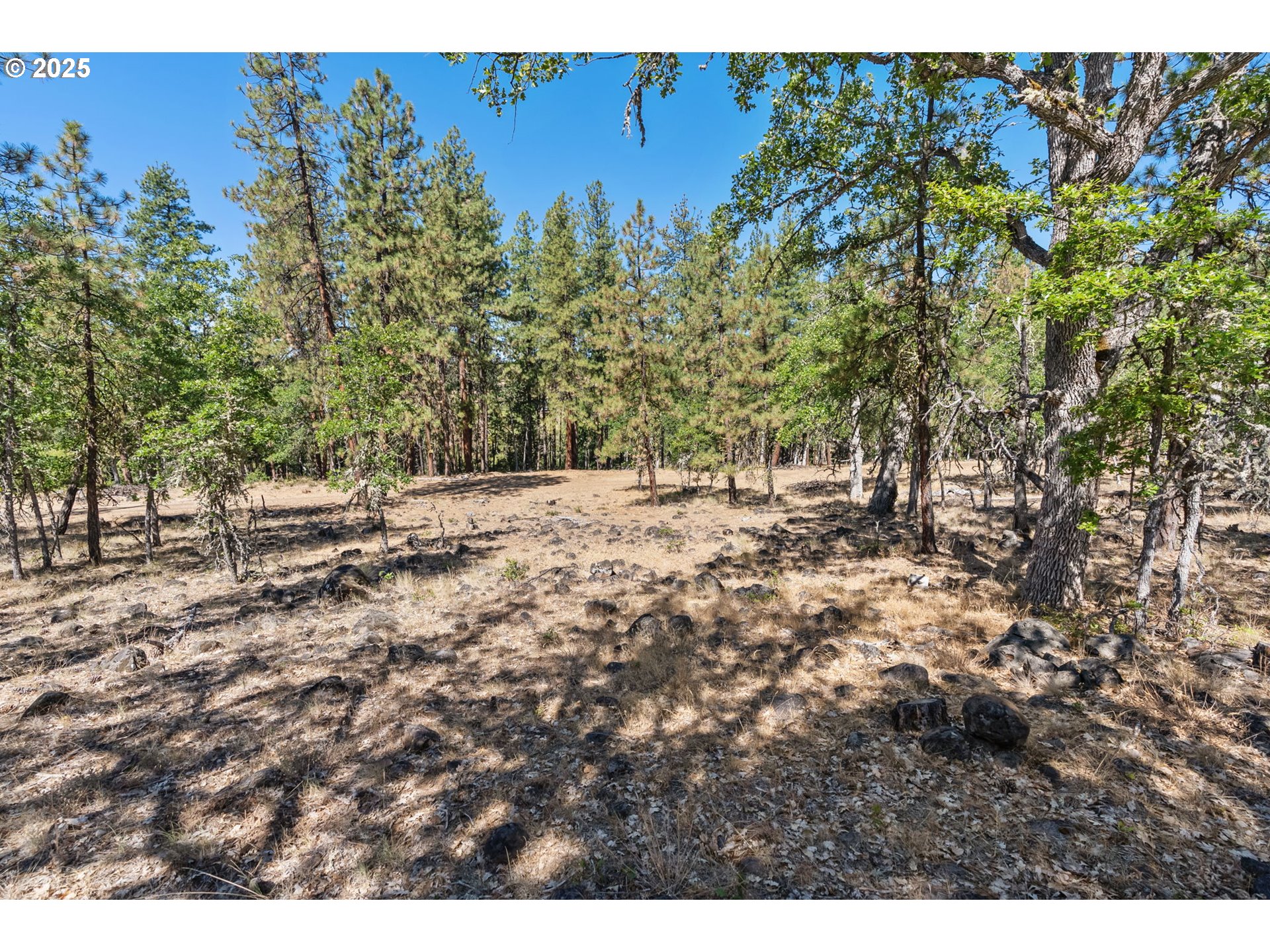 Nka Wilderness Loop Rd Property Photo 17