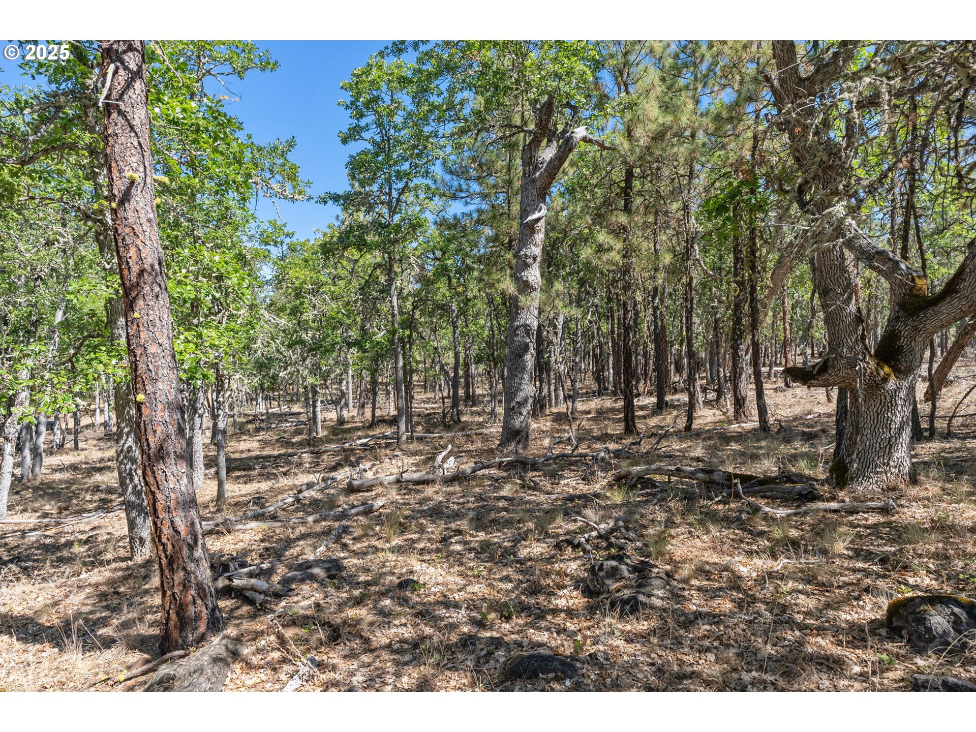 Nka Wilderness Loop Rd Property Photo 18