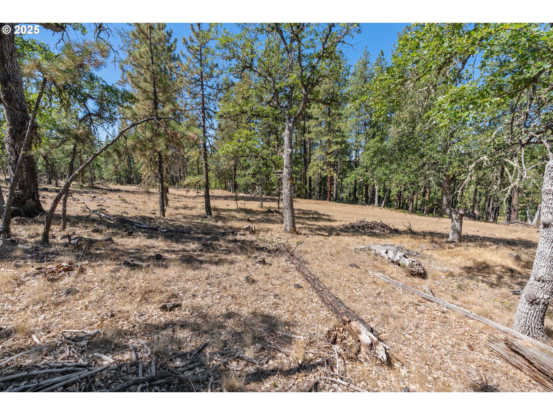 Nka Wilderness Loop Rd Property Photo 19