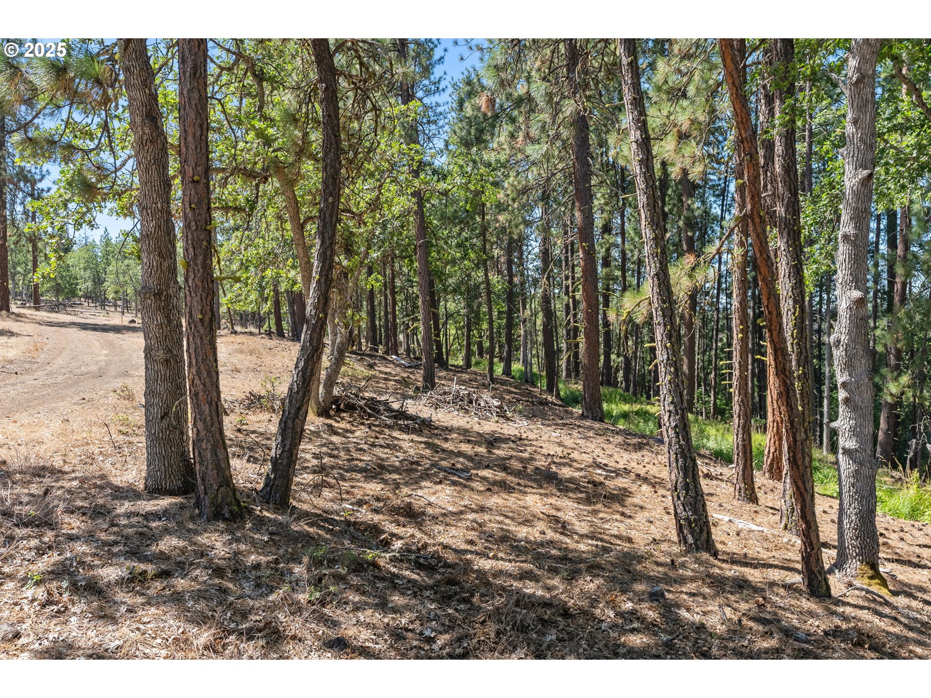 Nka Wilderness Loop Rd Property Photo 21