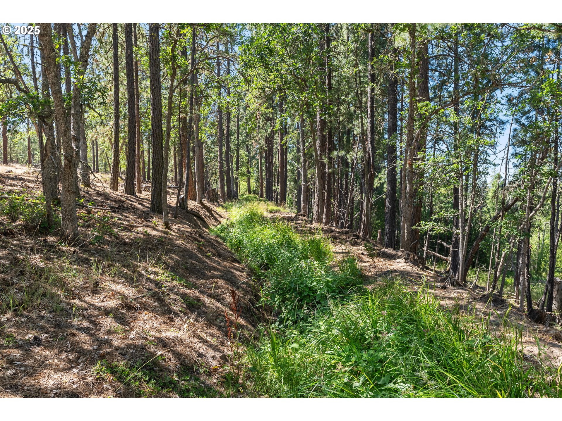 Nka Wilderness Loop Rd Property Photo 29