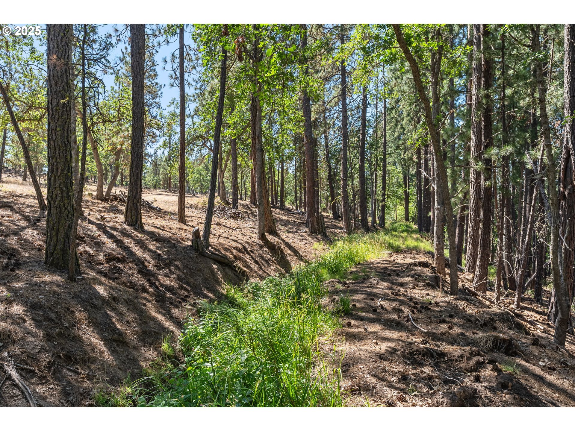 Nka Wilderness Loop Rd Property Photo 30