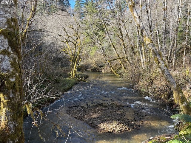 0 Steer Creek RD