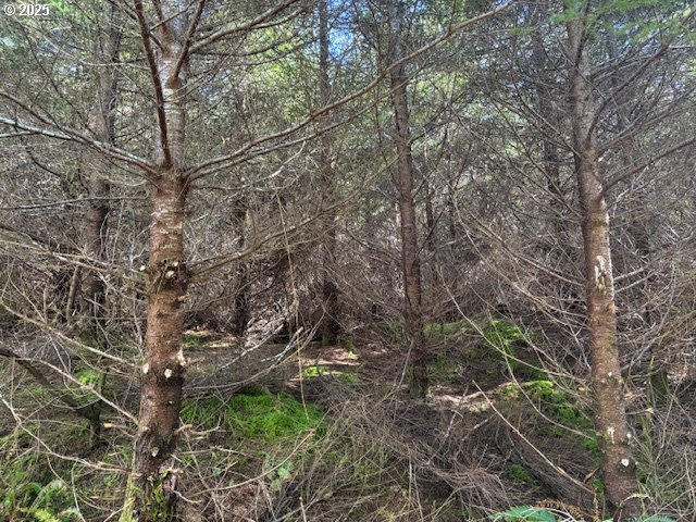 0 Steer Creek Rd Property Photo 4