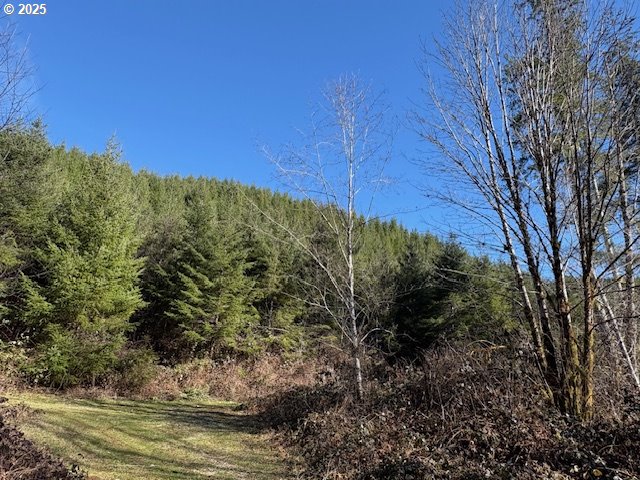 0 Steer Creek Rd Property Photo 11