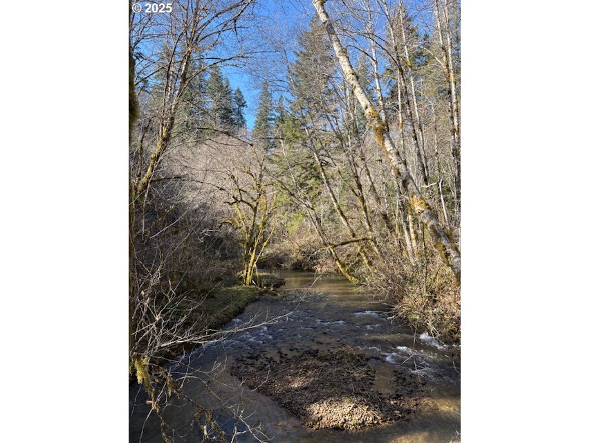 0 Steer Creek Rd Property Photo 12