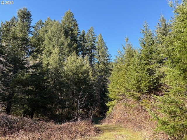 0 Steer Creek Rd Property Photo 13