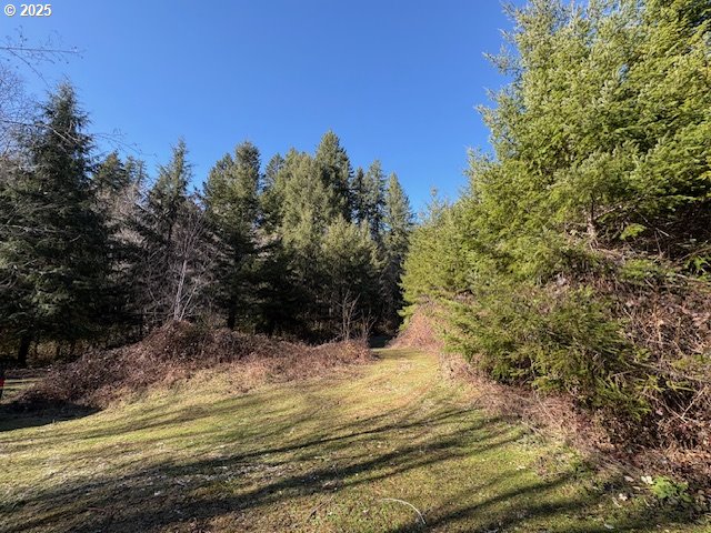0 Steer Creek Rd Property Photo 14