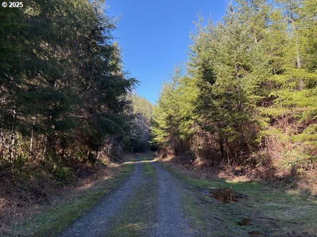 0 Steer Creek Rd Property Photo 15
