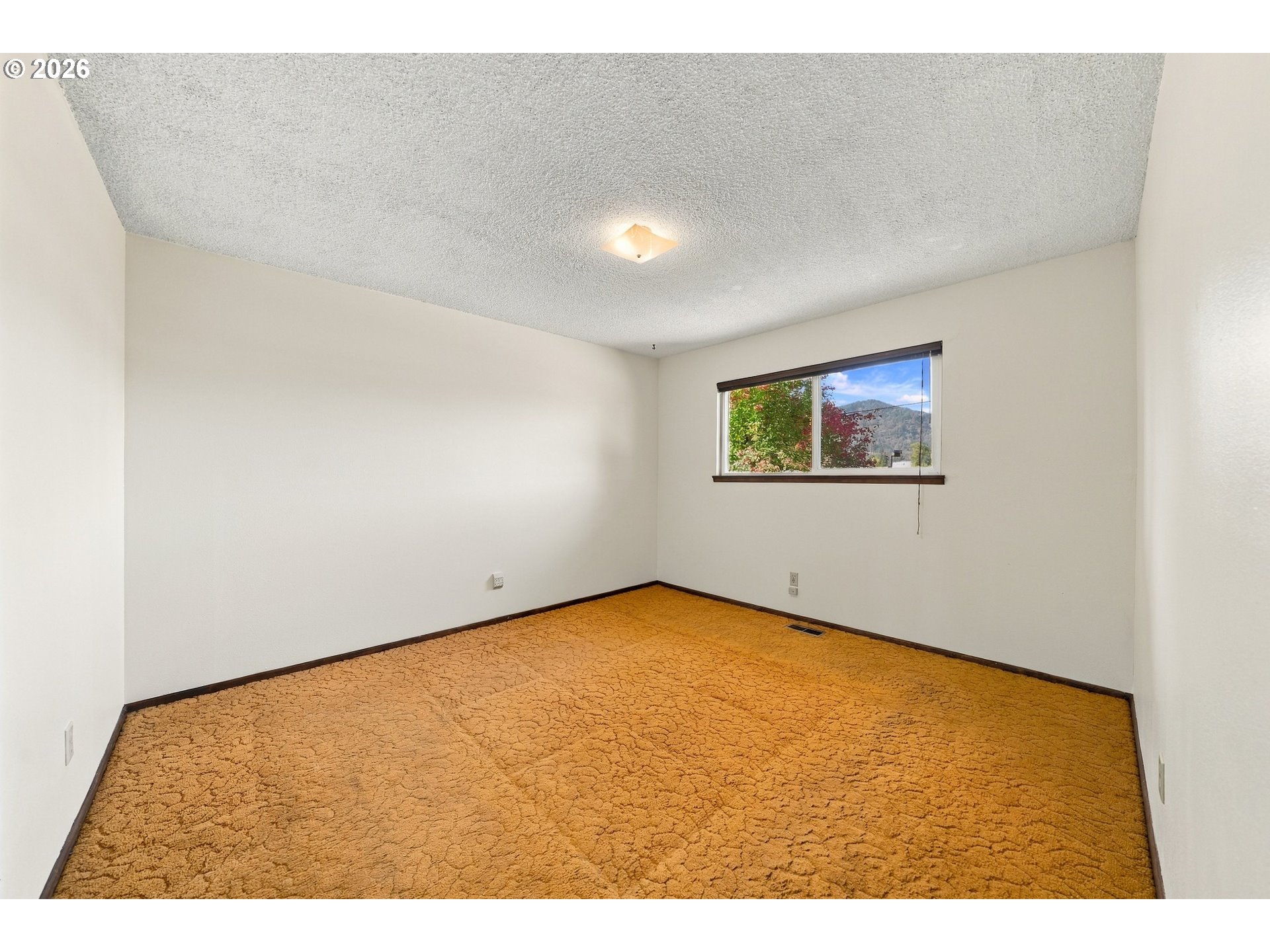 371 Hawthorne St Property Photo 22