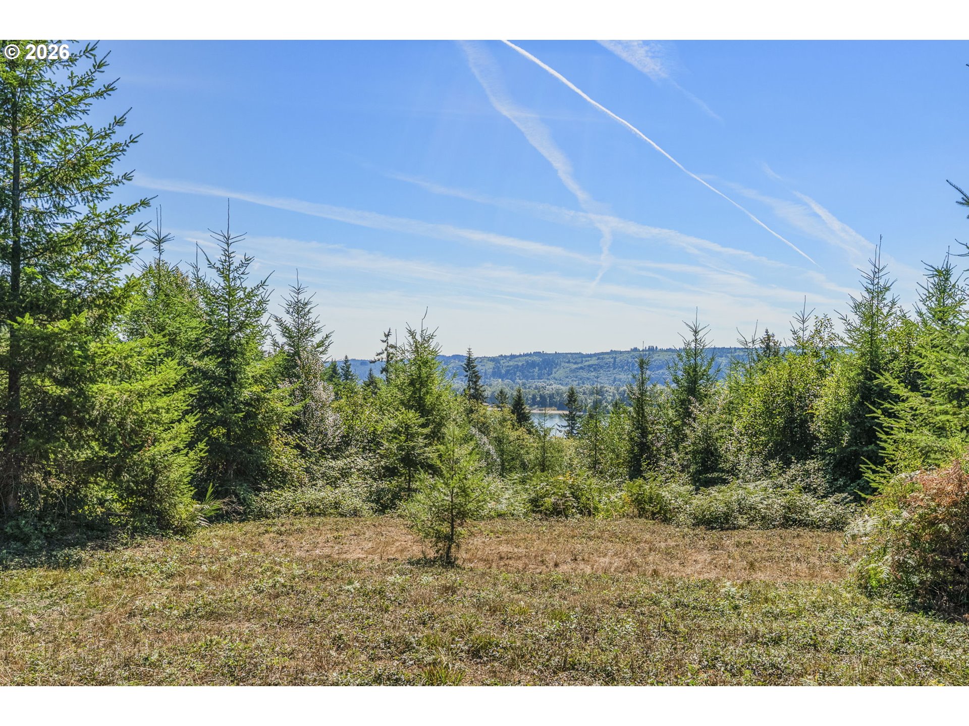 0 Old Tree Farm Dr F Property Photo 3
