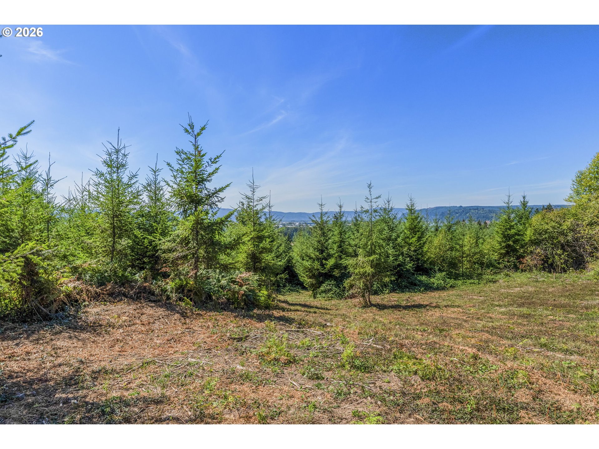 0 Old Tree Farm Dr F Property Photo 4