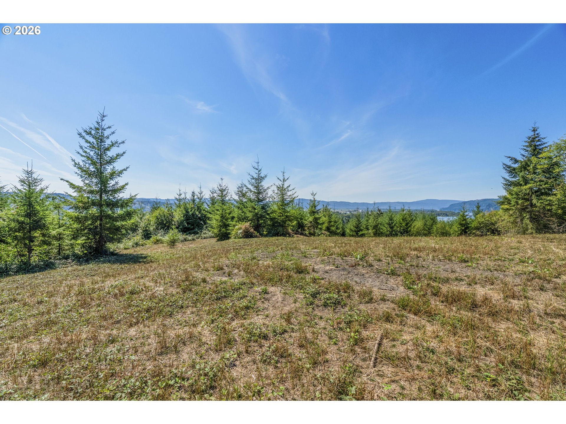 0 Old Tree Farm Dr F Property Photo 8