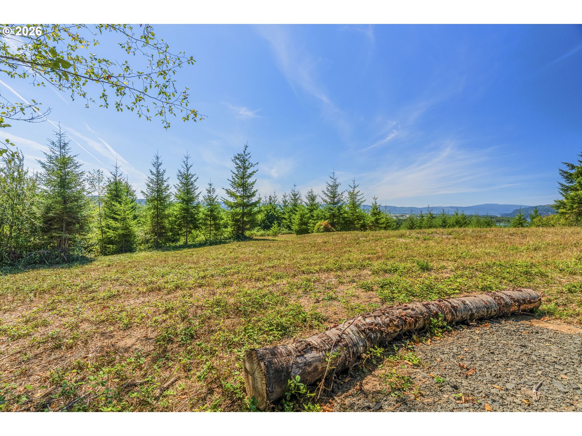 0 Old Tree Farm Dr F Property Photo 9