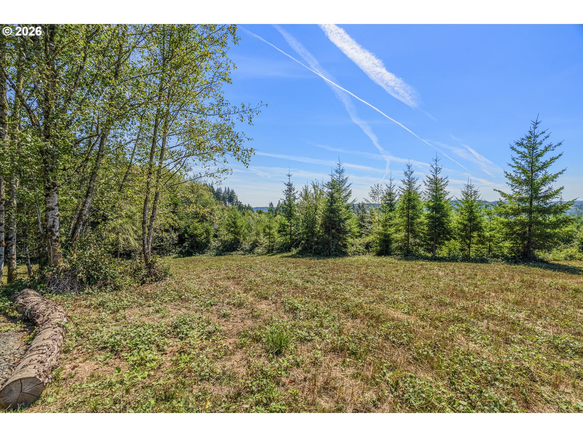 0 Old Tree Farm Dr F Property Photo 10