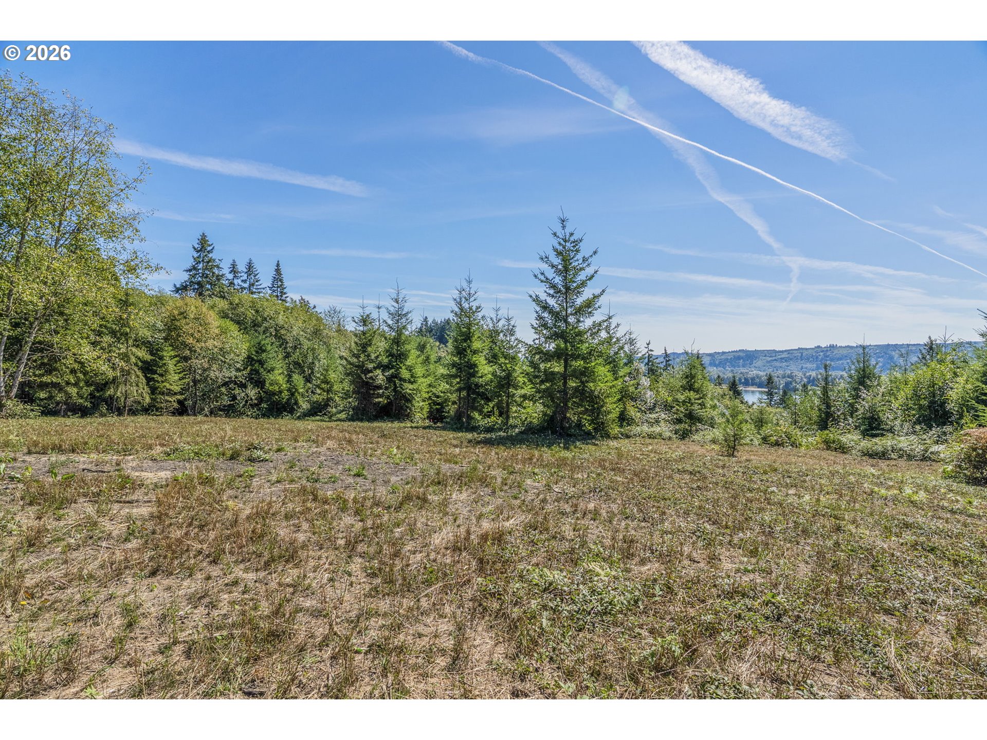 0 Old Tree Farm Dr F Property Photo 11