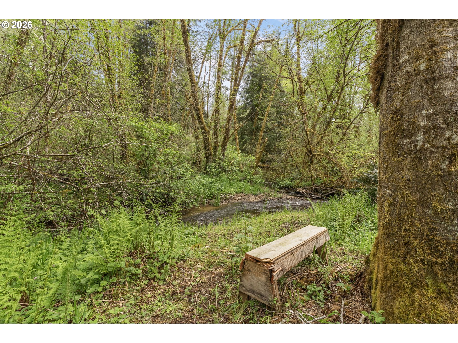 93537 Deadwood Creek Rd Property Photo 41