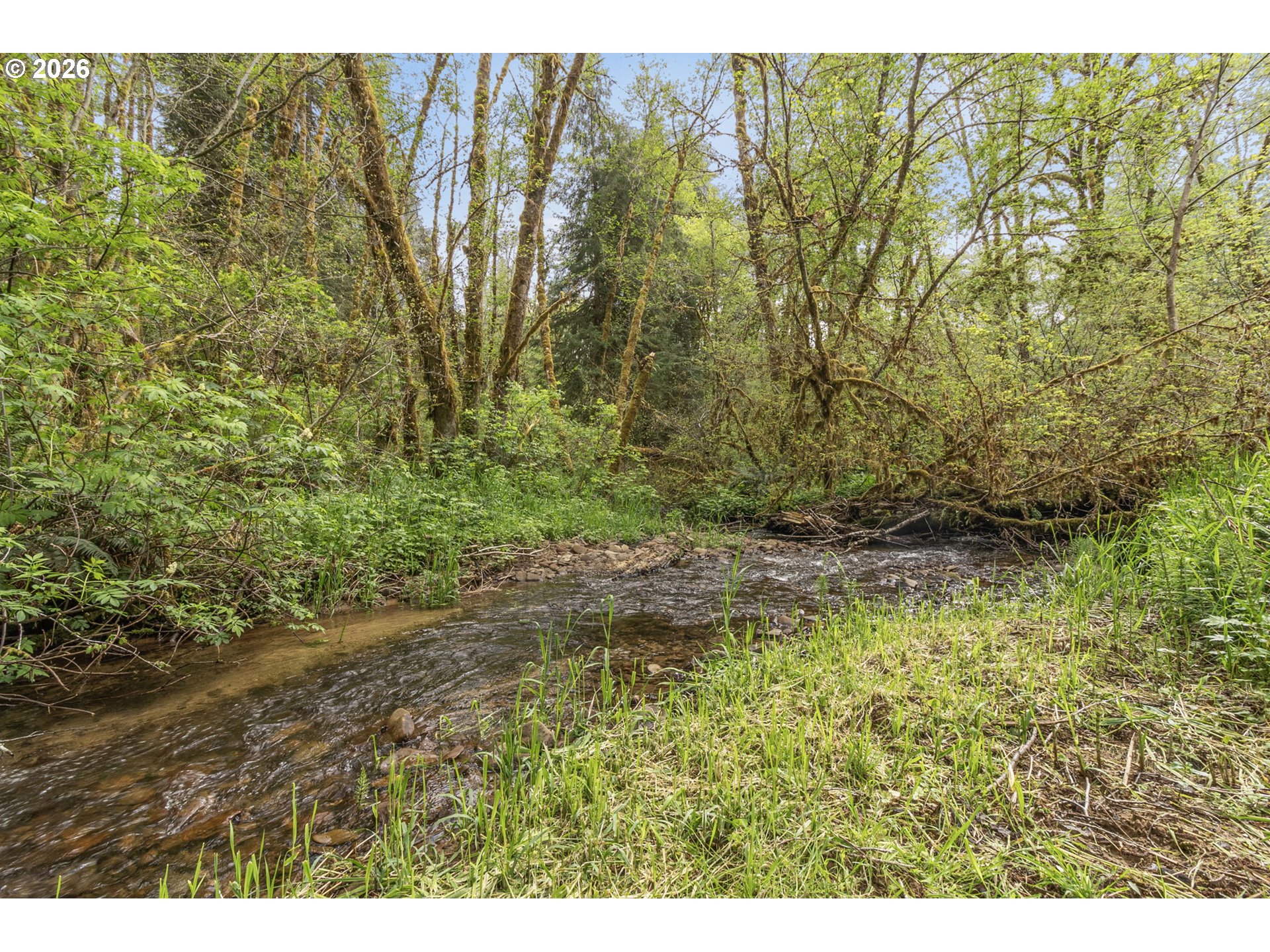 93537 Deadwood Creek Rd Property Photo 44
