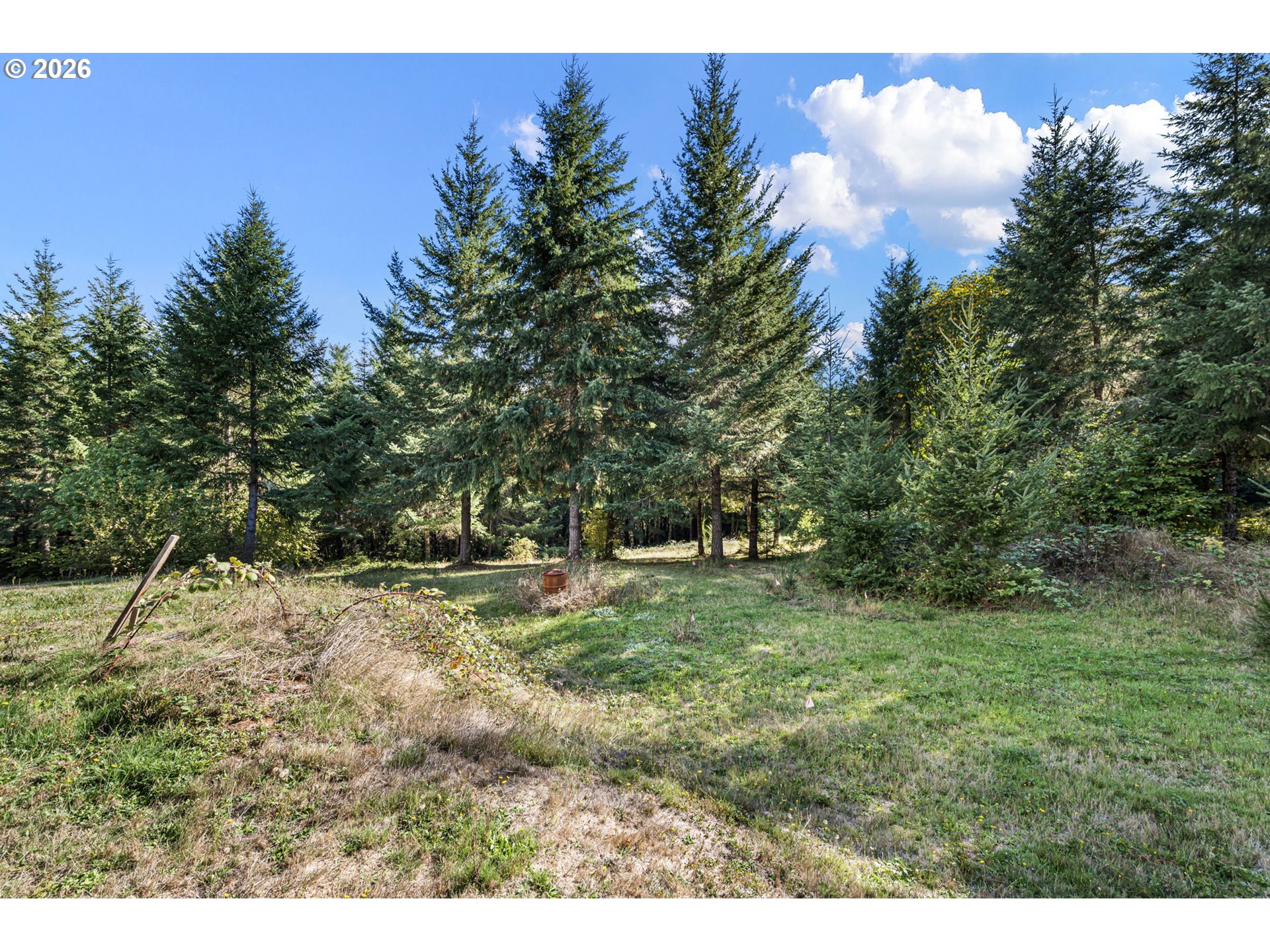 31692 Raisor Rd Property Photo 41