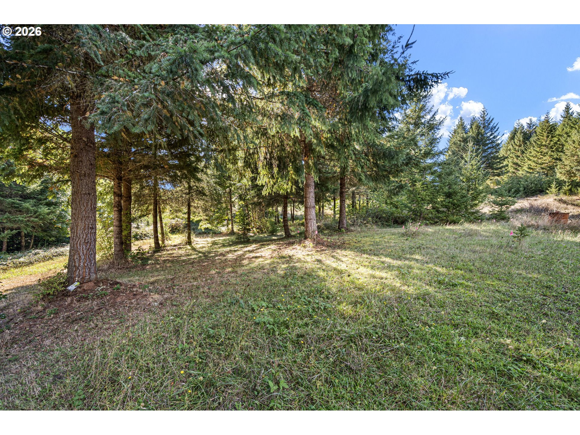 31692 Raisor Rd Property Photo 42