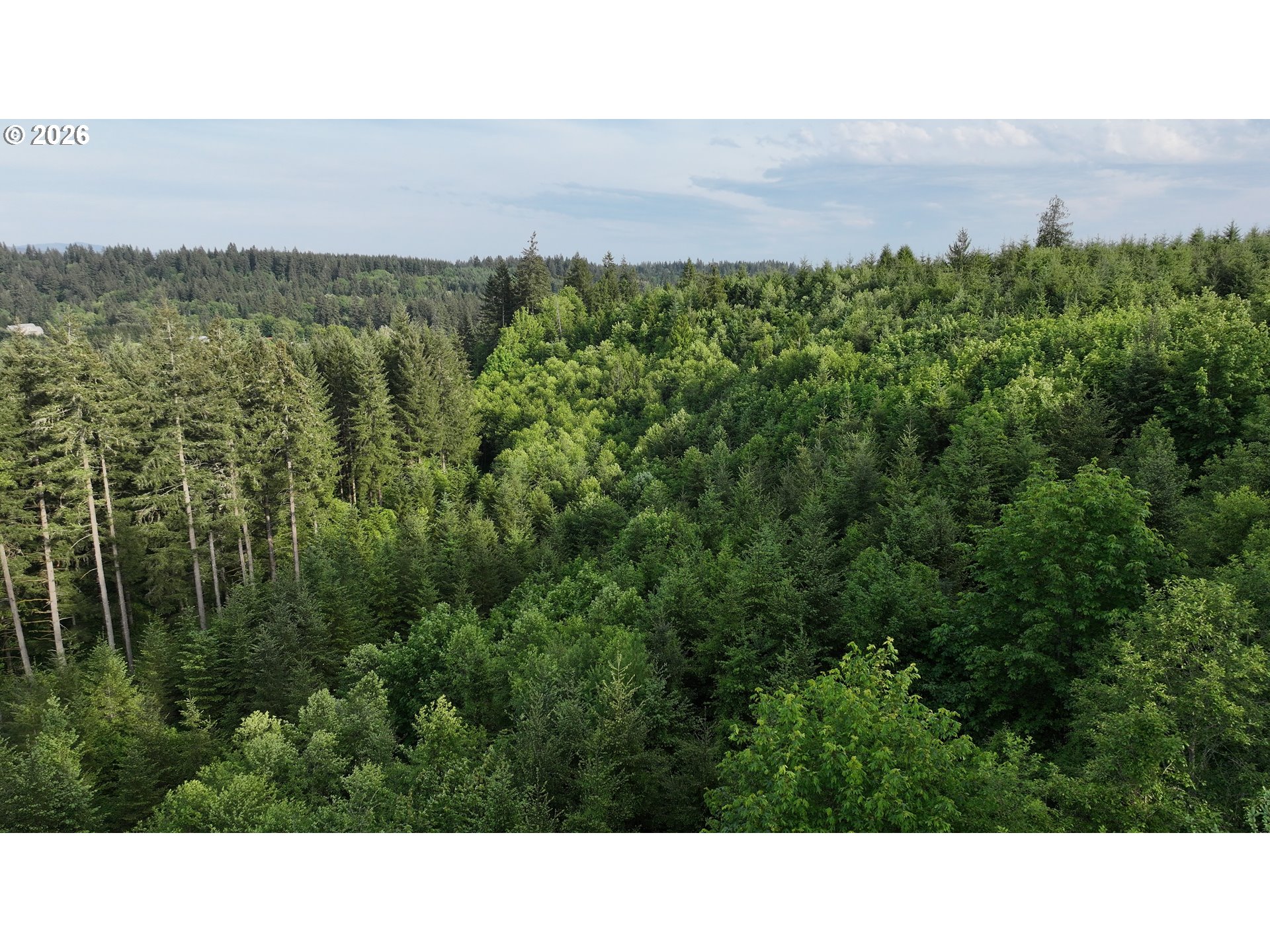 0 Finalburg Rd Property Photo 17