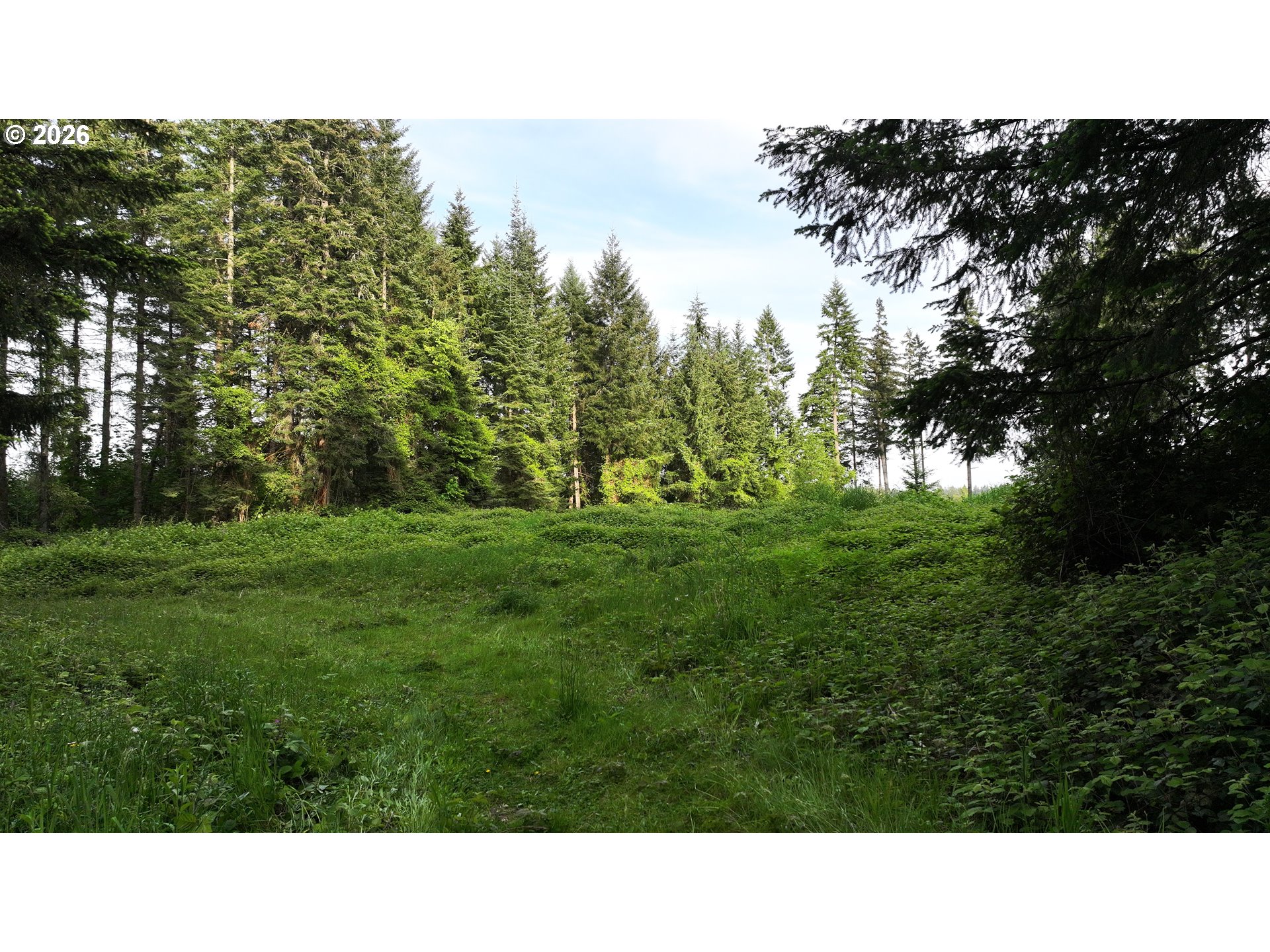 0 Finalburg Rd Property Photo 24