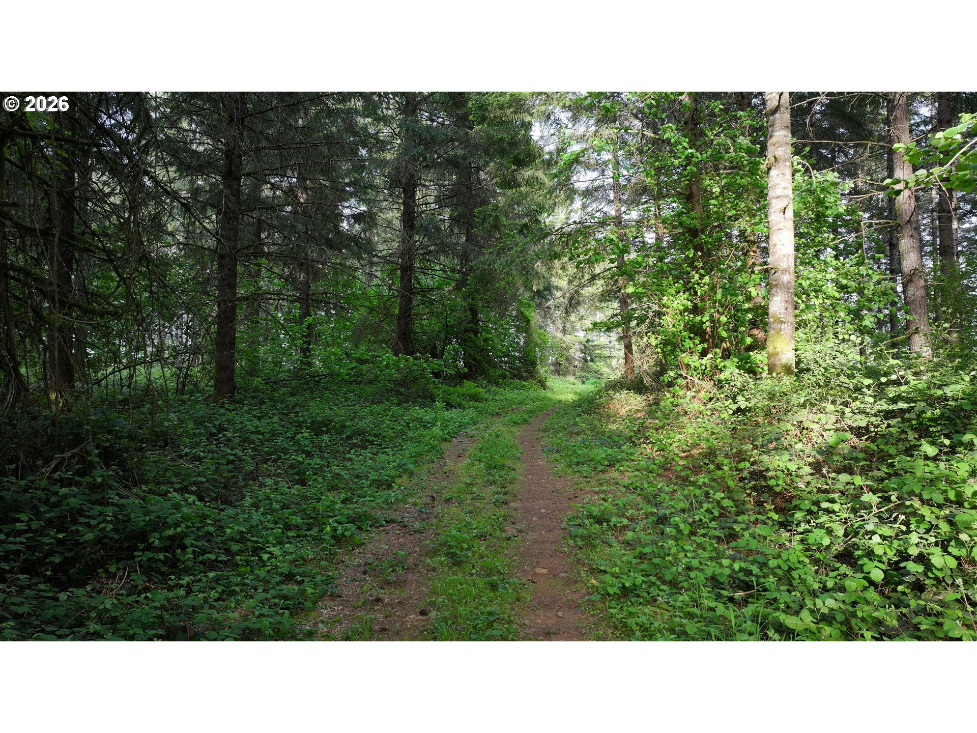 0 Finalburg Rd Property Photo 25