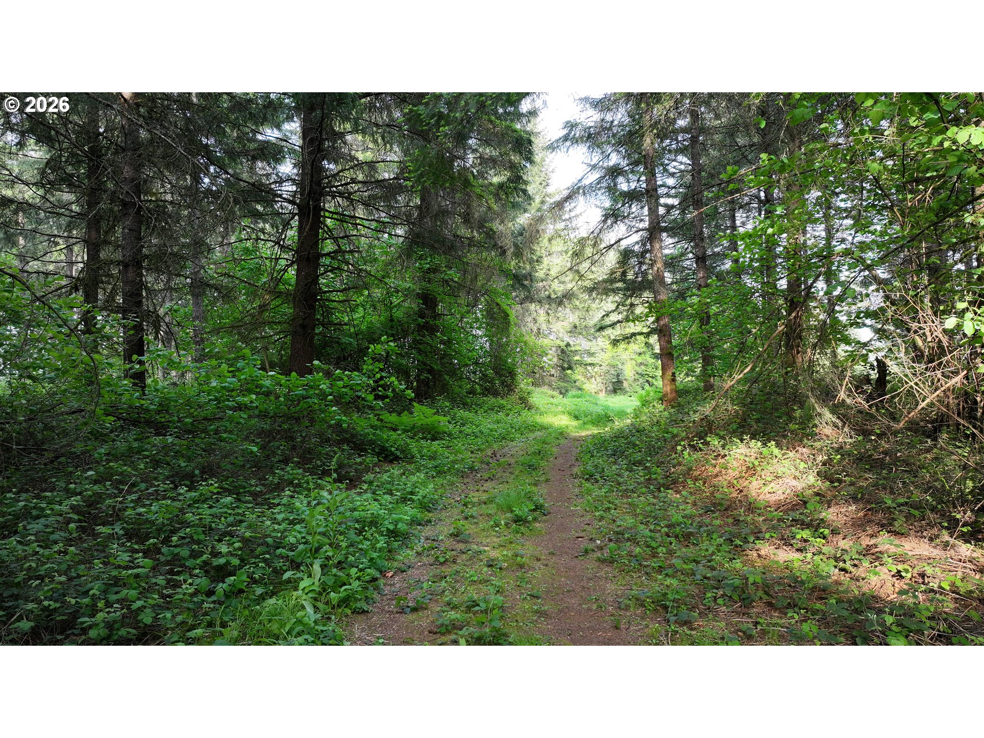 0 Finalburg Rd Property Photo 26